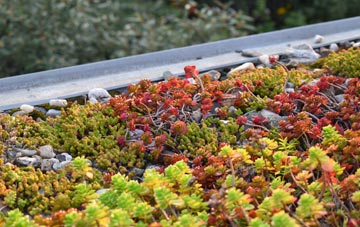 the cost of Heol Laethog green roof installation